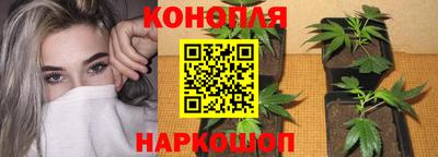 сатива Ликино-Дулёво