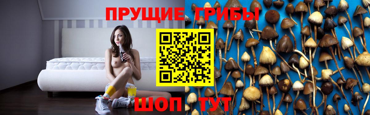 Будённовск  Галлюциногенные грибы прущие грибы  Вход с VPN 